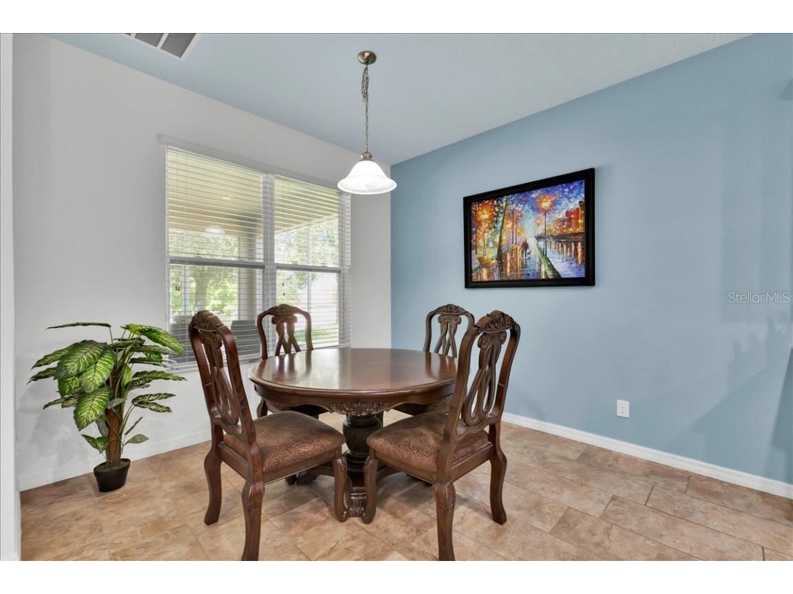 9249 Ivywood Street Clermont FL 34711 - LAKE NELLIE G5103998 image14