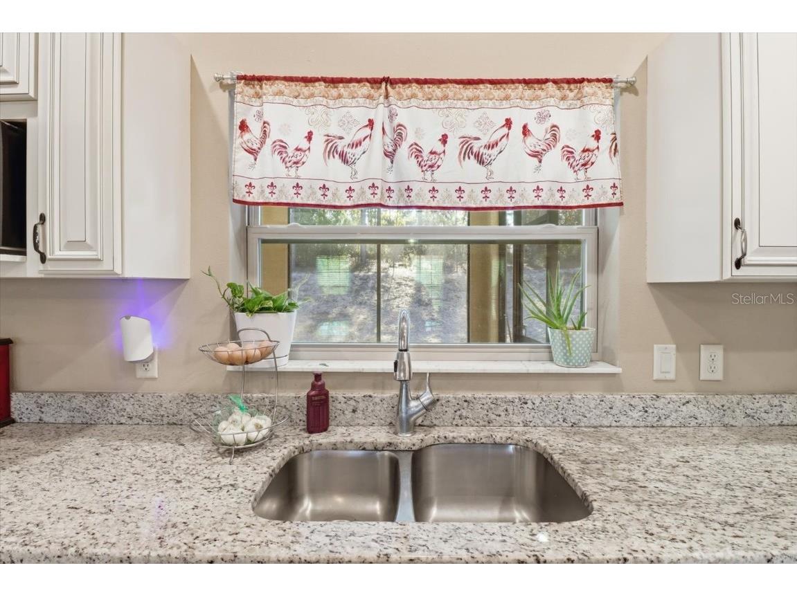 9249 N Saponaria Drive Citrus Springs FL 34433 TB8450415 image19