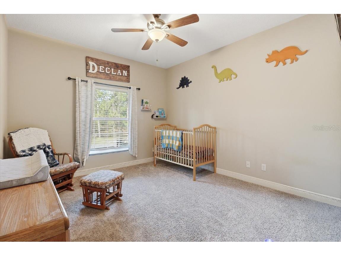 9249 N Saponaria Drive Citrus Springs FL 34433 TB8450415 image28