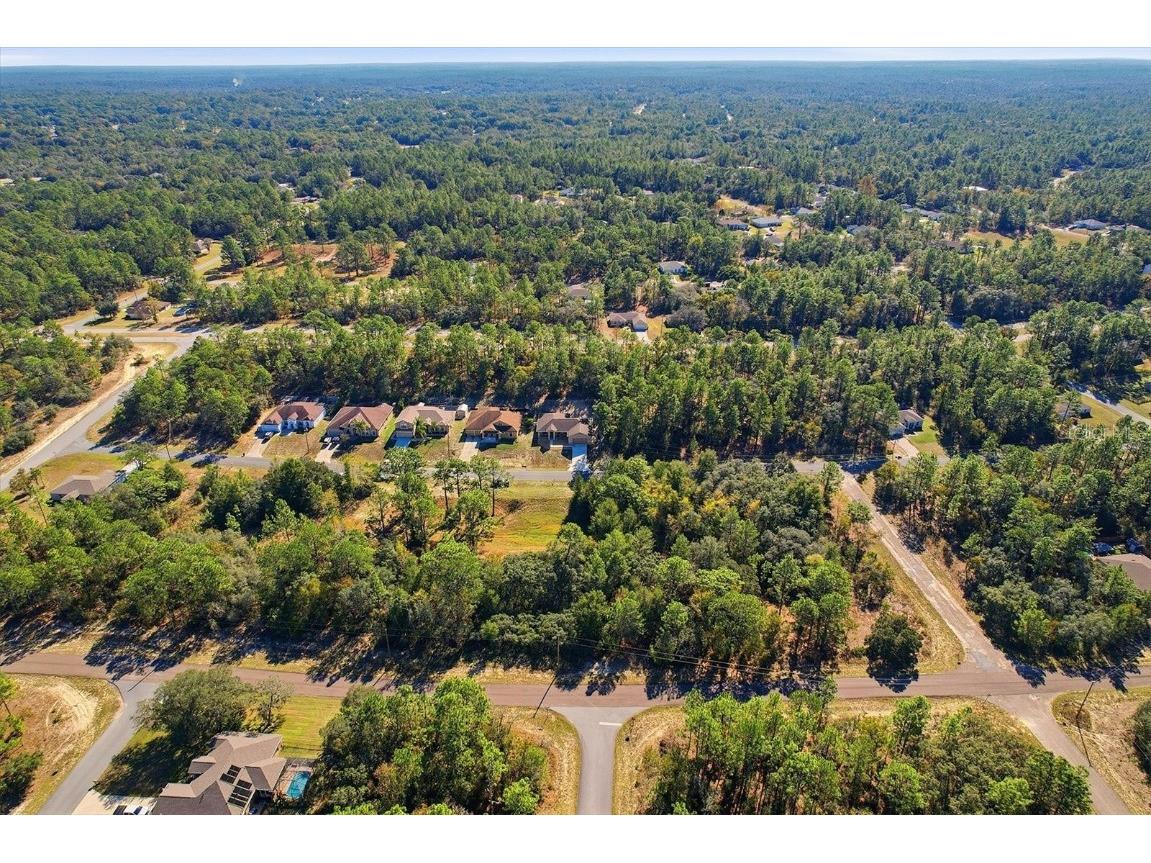 9249 N Saponaria Drive Citrus Springs FL 34433 TB8450415 image43