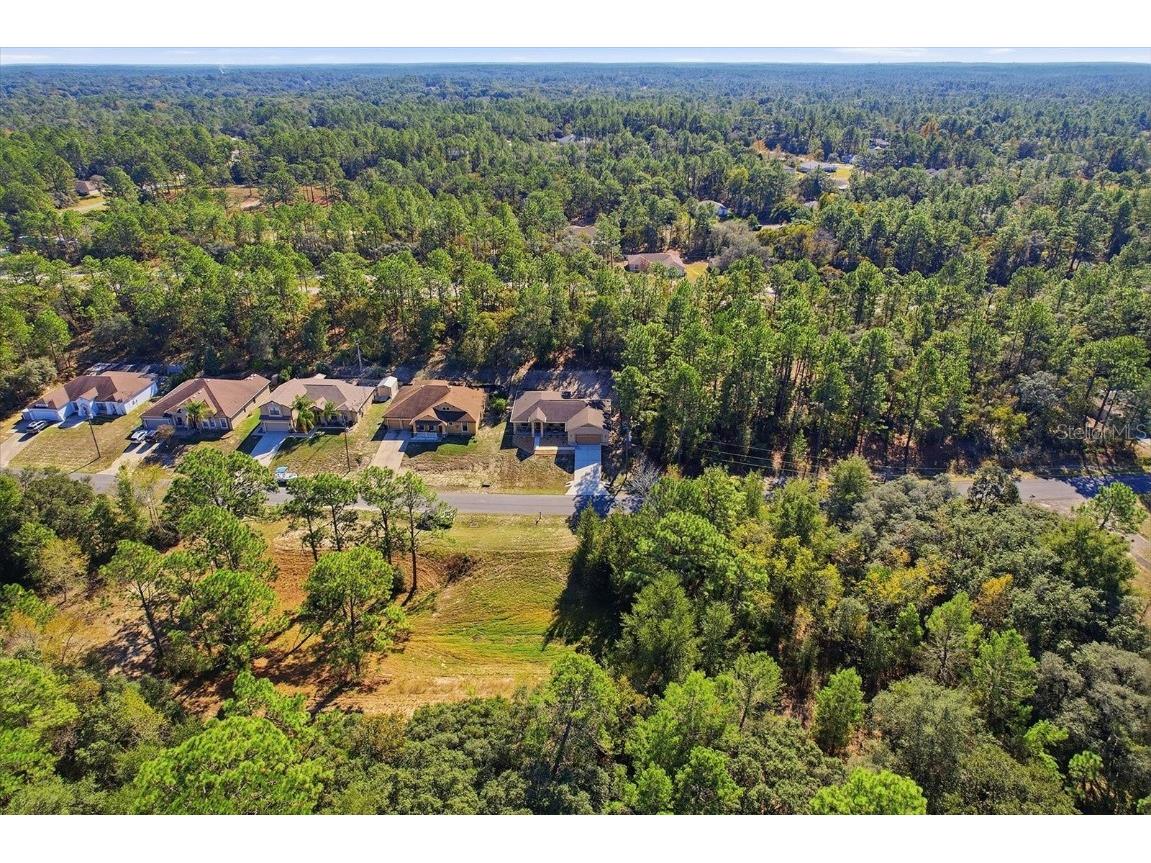 9249 N Saponaria Drive Citrus Springs FL 34433 TB8450415 image44