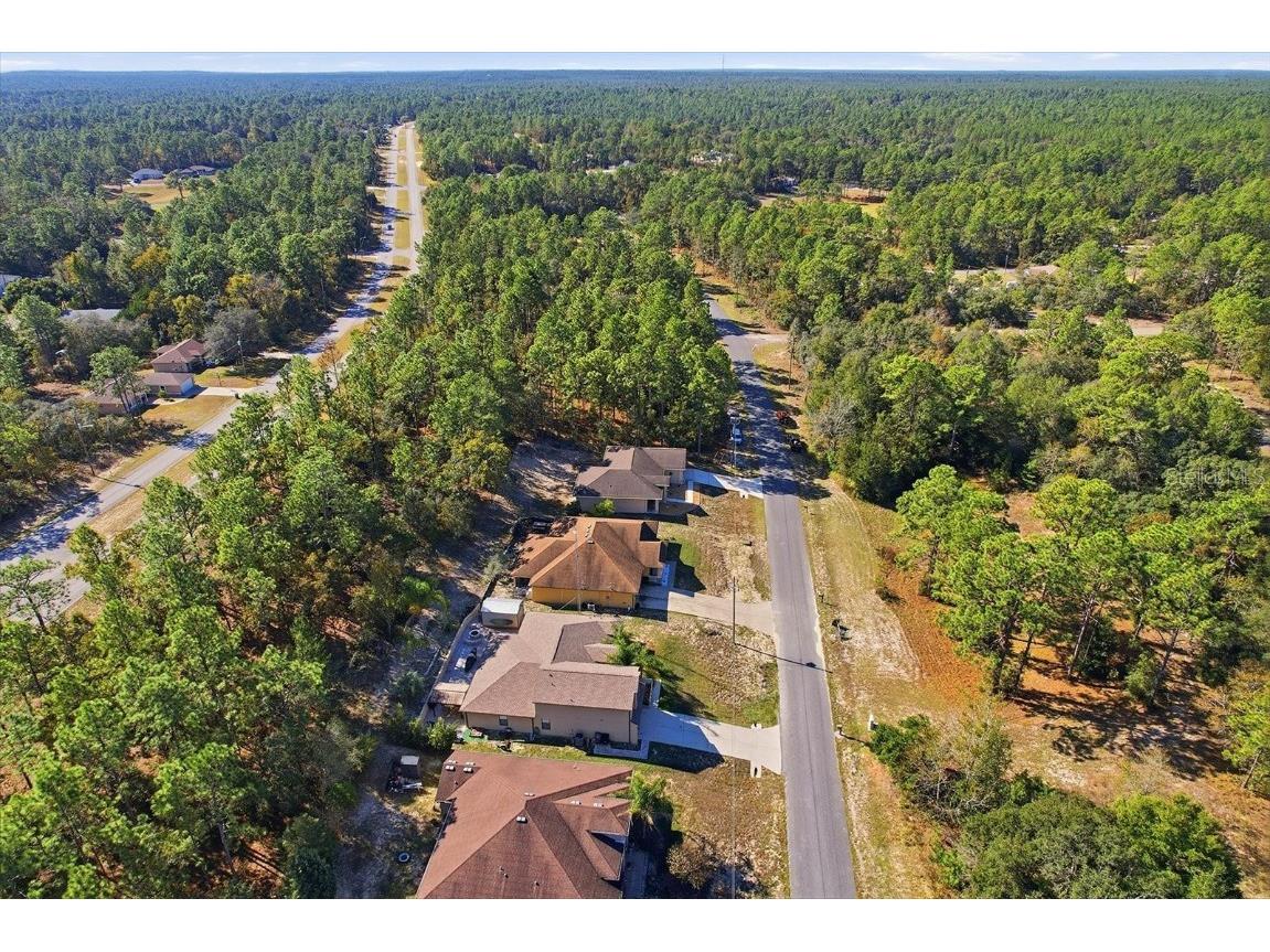 9249 N Saponaria Drive Citrus Springs FL 34433 TB8450415 image45