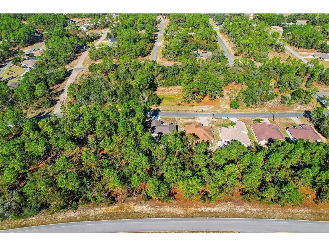 9249 N Saponaria Drive Citrus Springs FL 34433 TB8450415 image46