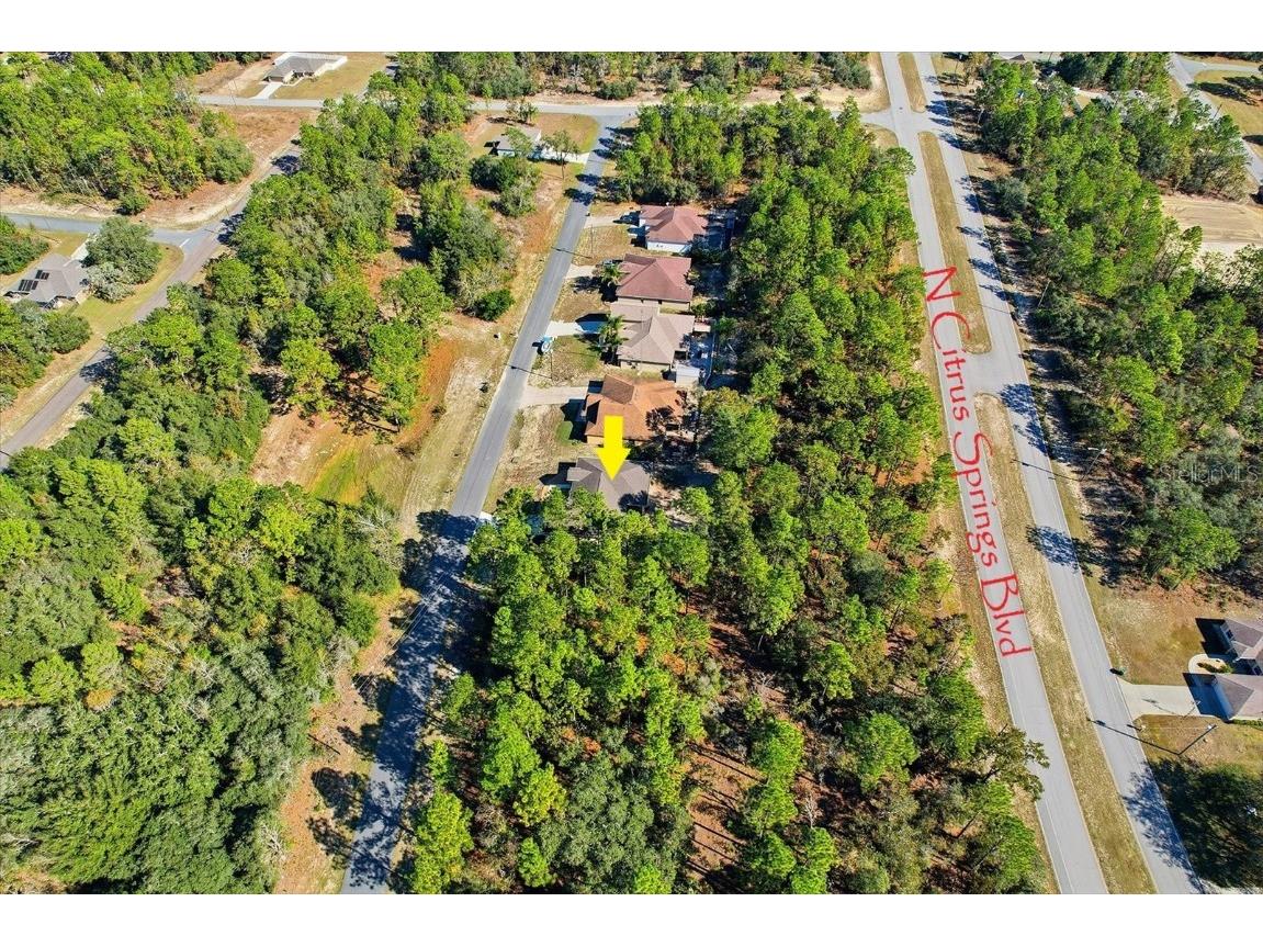 9249 N Saponaria Drive Citrus Springs FL 34433 TB8450415 image47