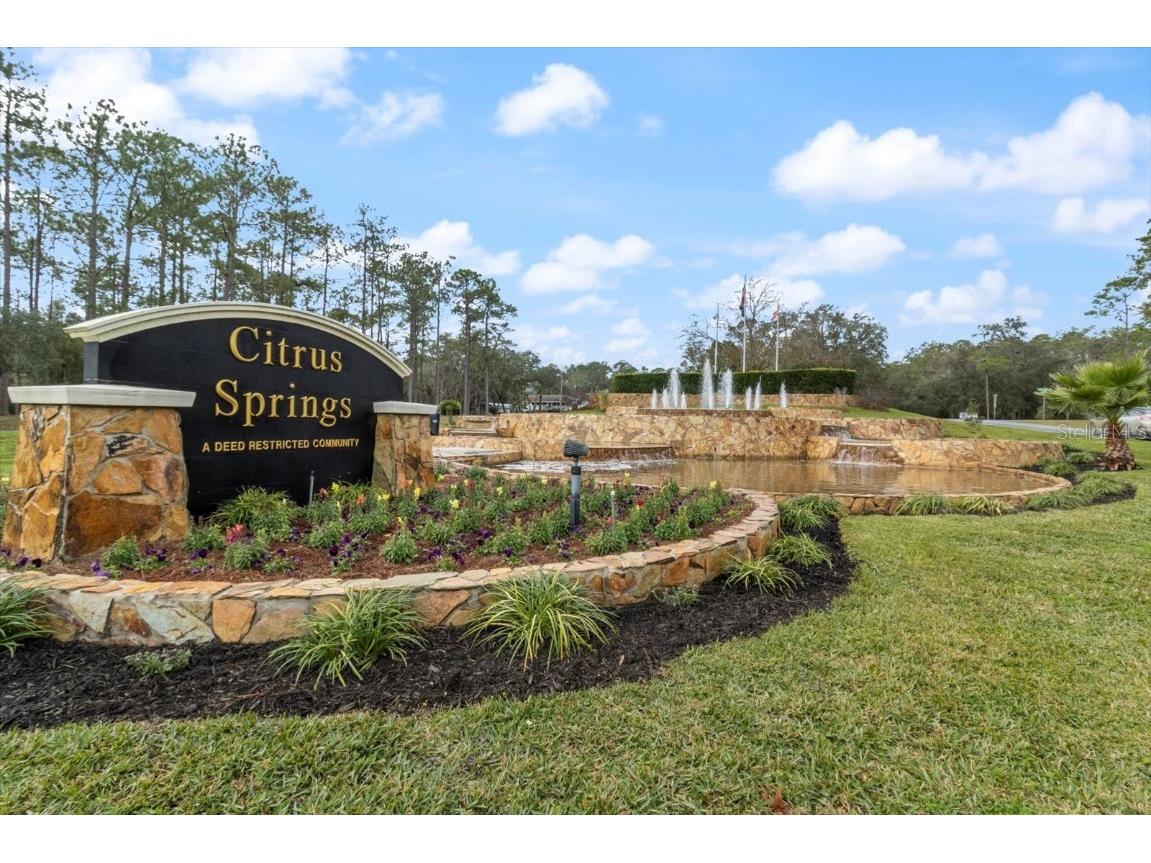 9249 N Saponaria Drive Citrus Springs FL 34433 TB8450415 image48