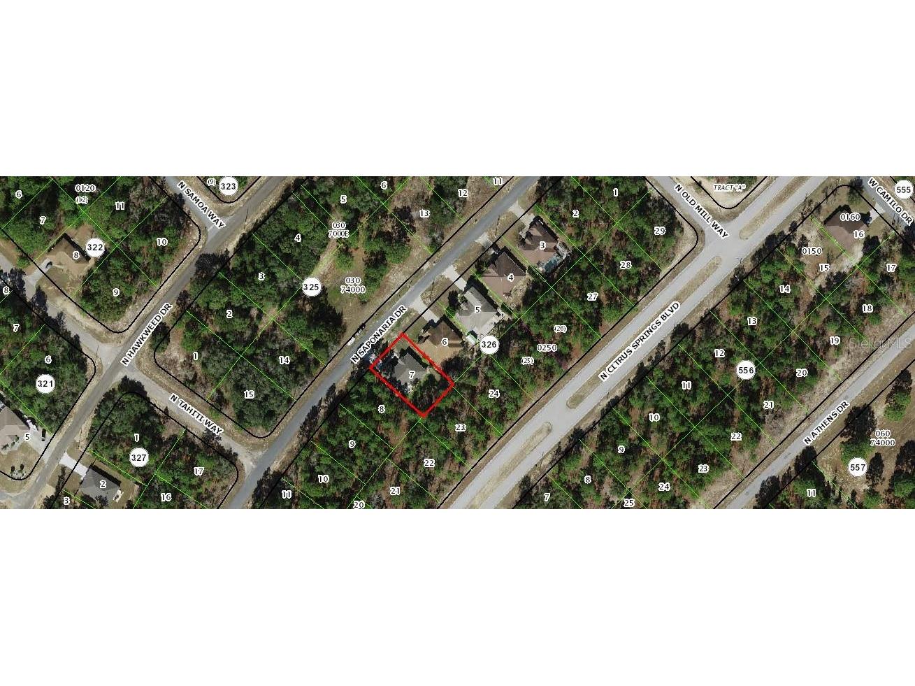 9249 N Saponaria Drive Citrus Springs FL 34433 TB8450415 image6