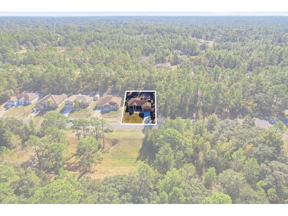 9249 N Saponaria Drive Citrus Springs FL 34433 TB8450415 image7