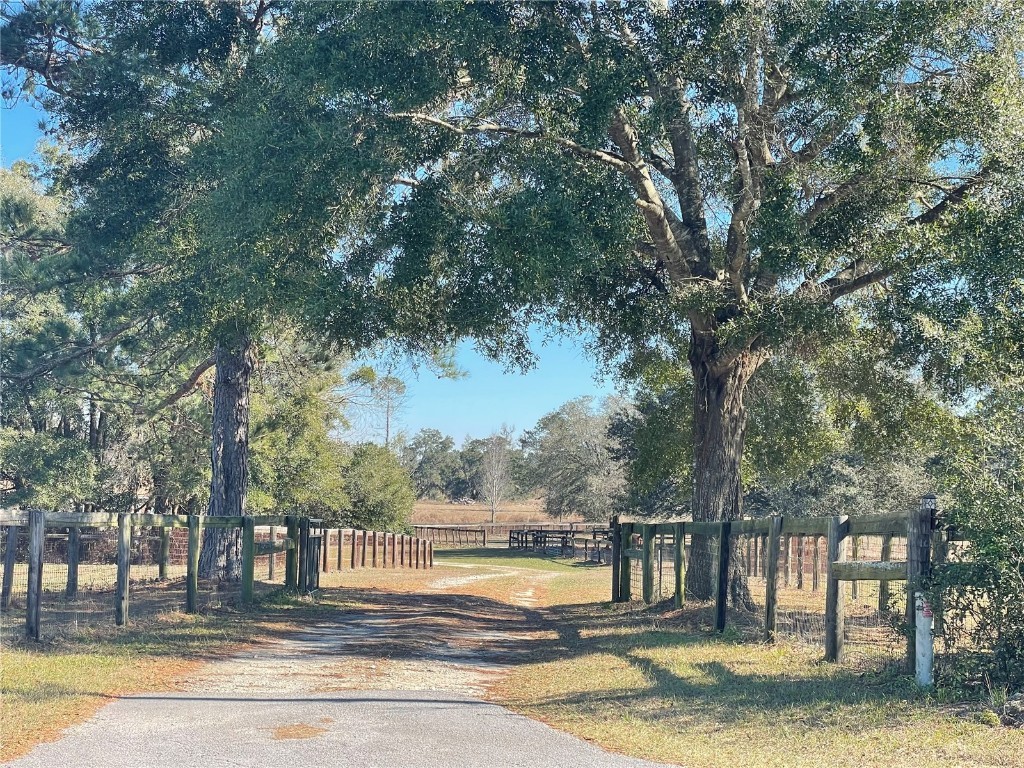 9249 NW 160th Avenue Morriston FL 32668 OM692533 image1