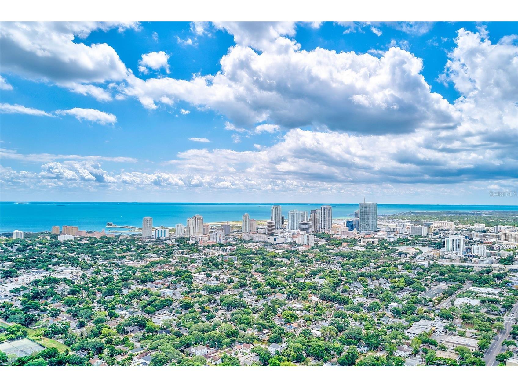 925 16th Avenue N Saint Petersburg FL 33704 TB8509416 image44