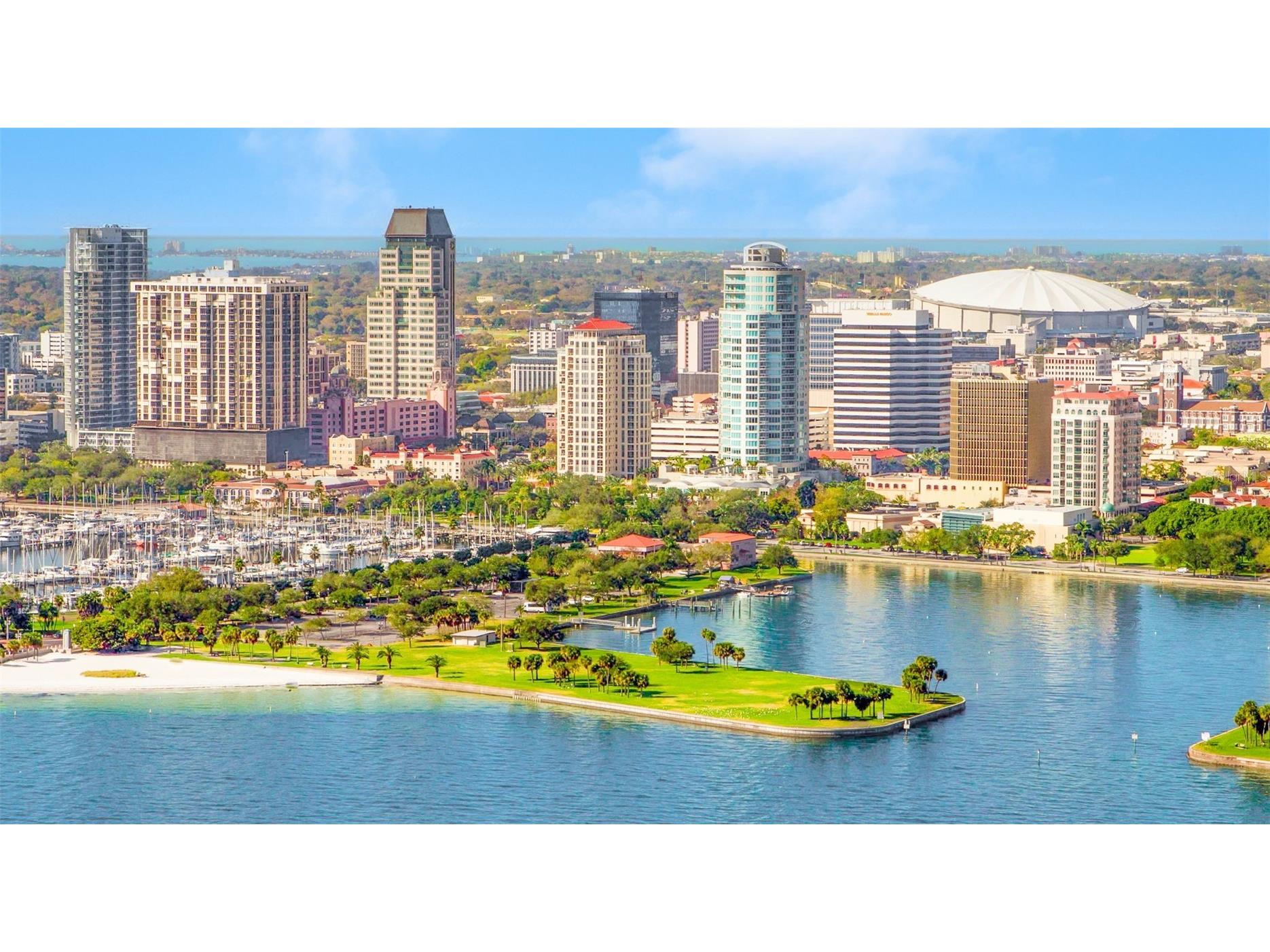 925 16th Avenue N Saint Petersburg FL 33704 TB8509416 image48
