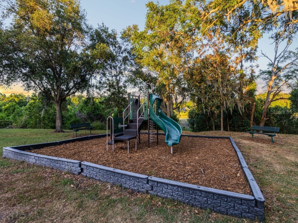 925 Counts Crest Circle Apopka FL 32712 O6300561 image37