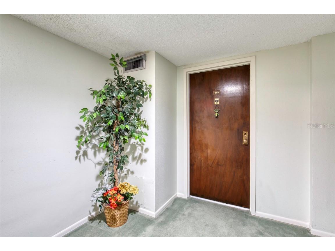 925 N Halifax Avenue #609 Daytona Beach FL 32118 V4944758 image8