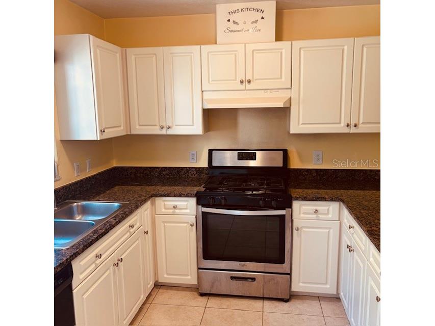 925 N Rembrandt Way #104 Inverness FL 34453 OM721302 image6