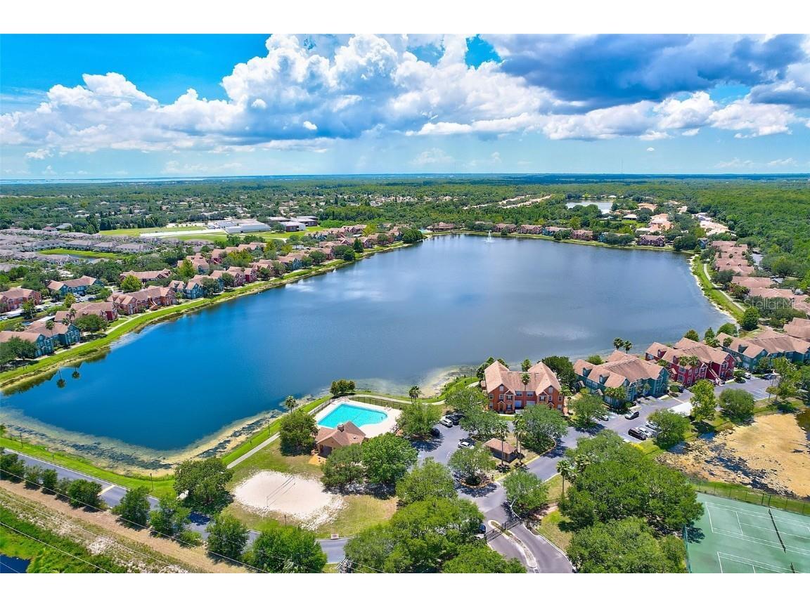 9250 Lake Chase Island Way #9250 Tampa FL 33626 U8207916 image1