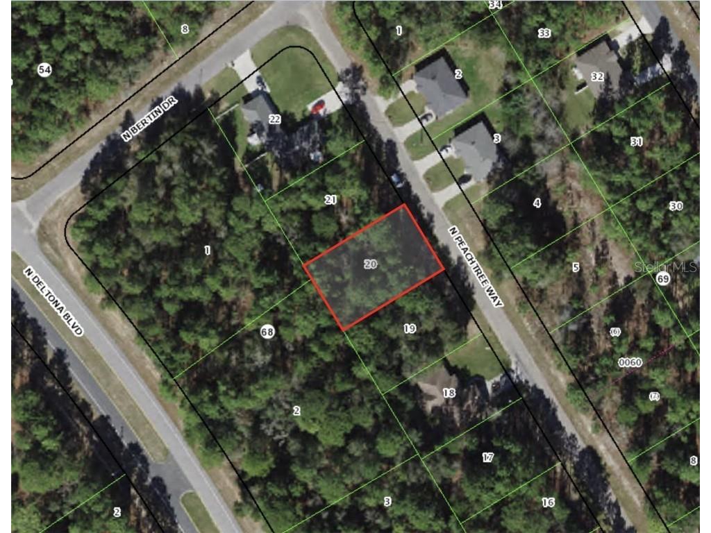 9250 N Peachtree Way Citrus Springs FL 34434 G5050999 image1