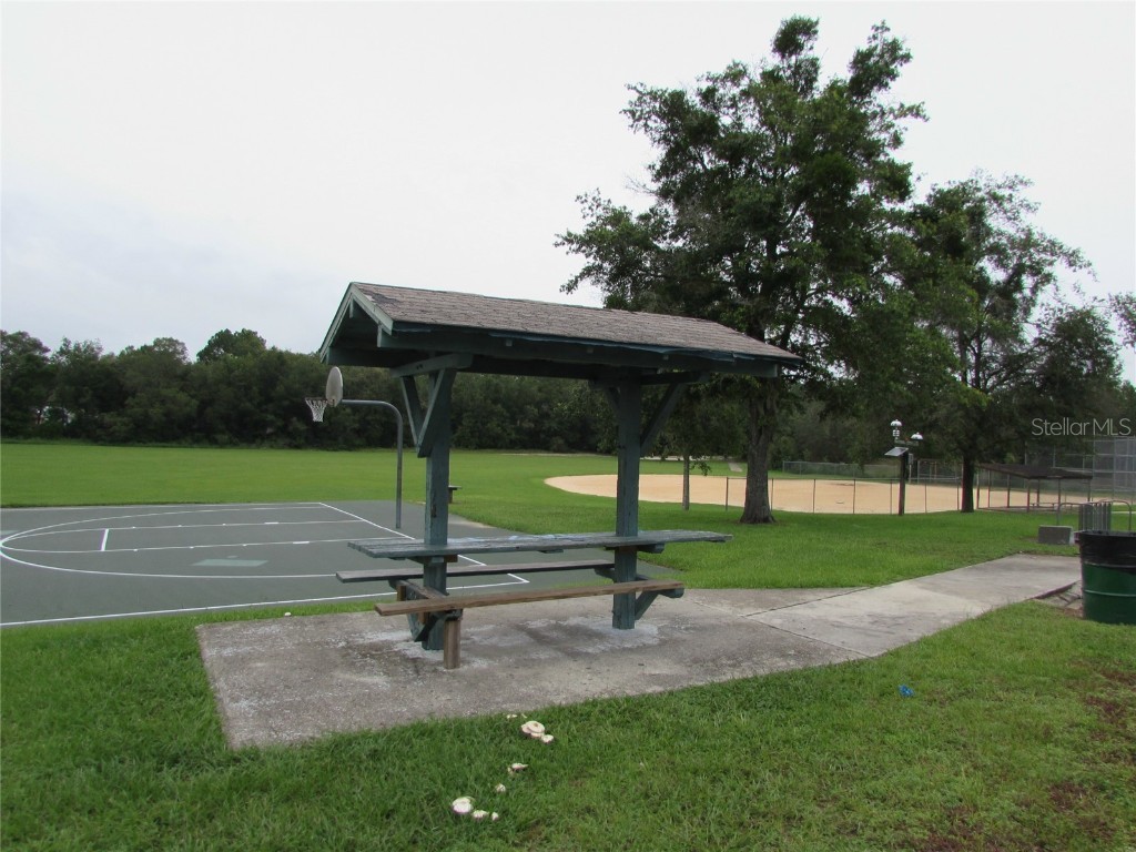 9250 N Travis Drive Citrus Springs FL 34434 OM687264 image11