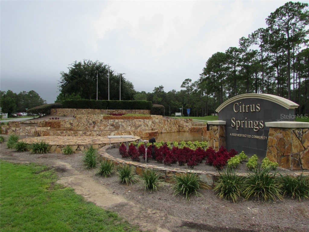 9250 N Travis Drive Citrus Springs FL 34434 OM687264 image15