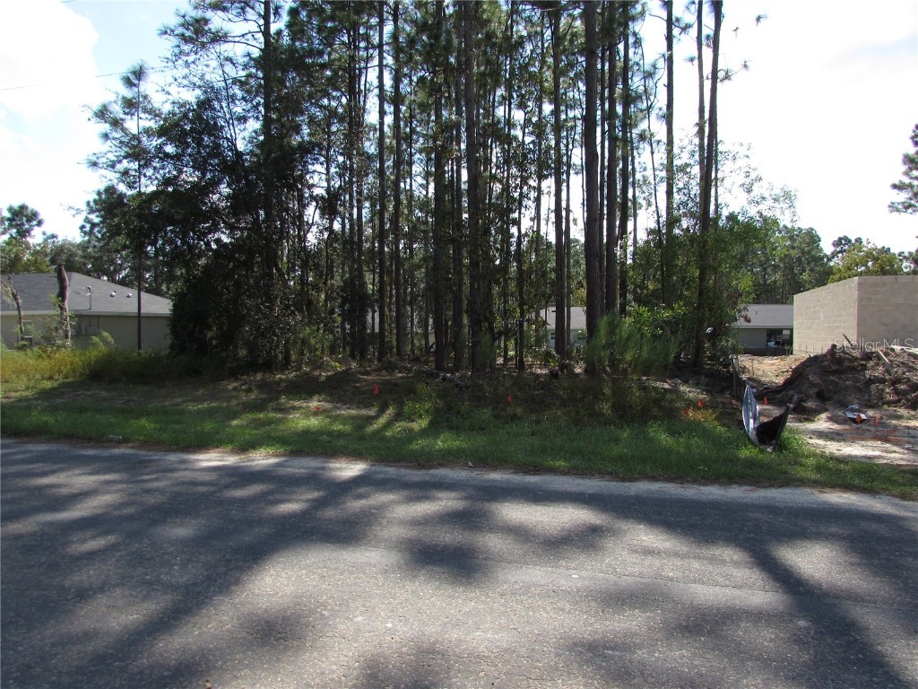 9250 N Travis Drive Citrus Springs FL 34434 OM687264 image5