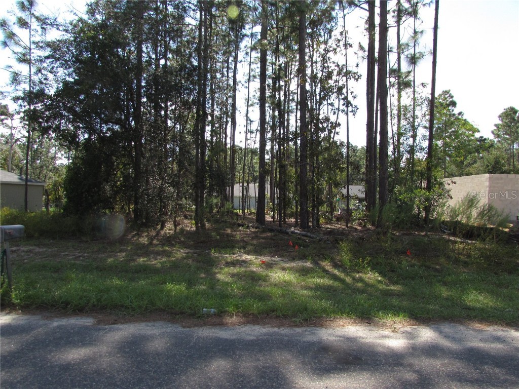 9250 N Travis Drive Citrus Springs FL 34434 OM687264 image6