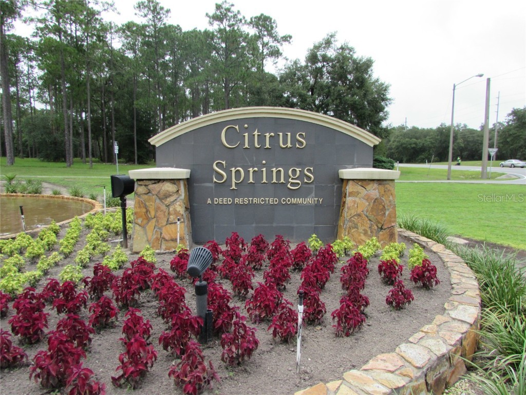 9250 N Travis Drive Citrus Springs FL 34434 OM687264 image8