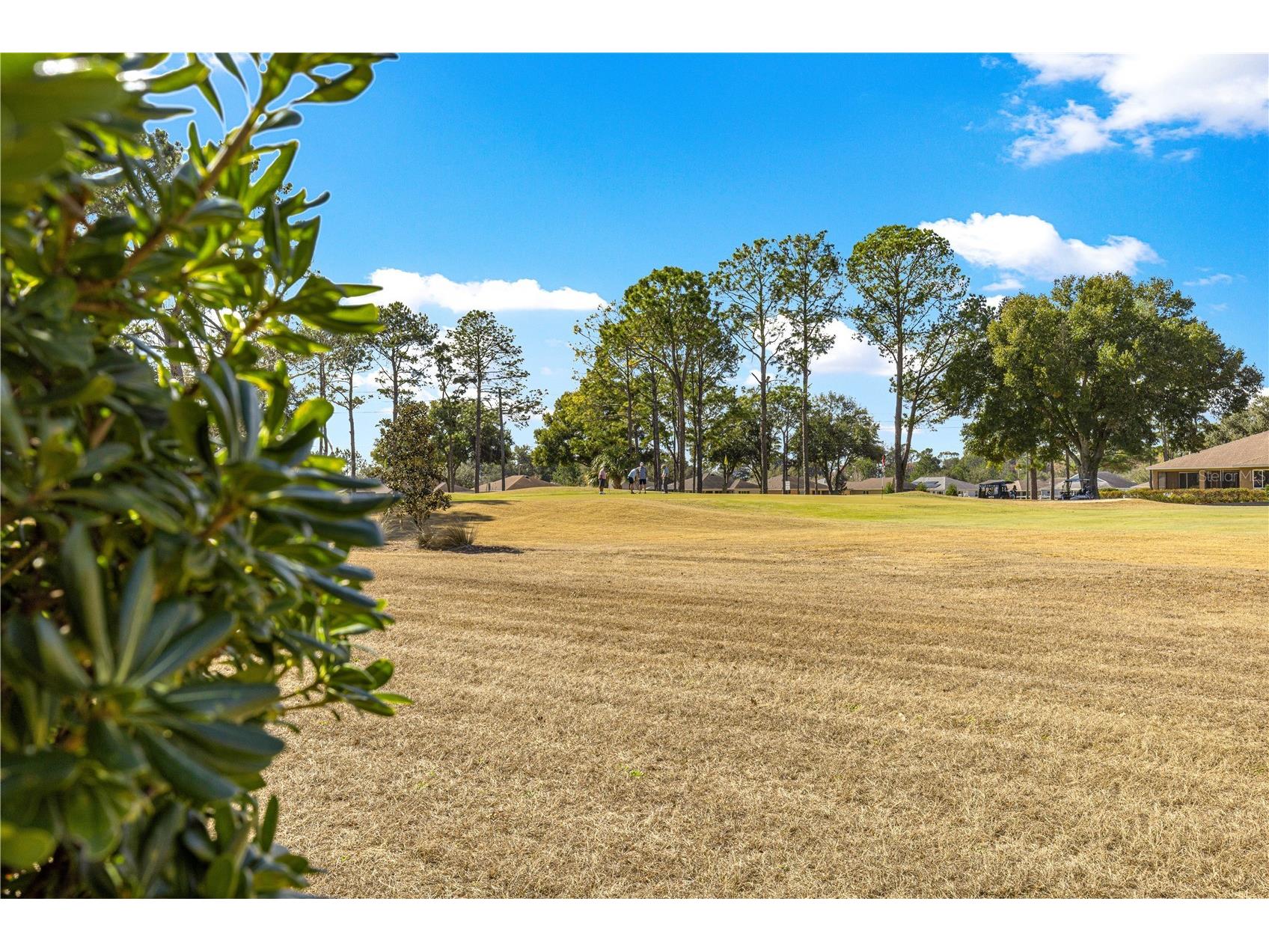 9250 SW 96th Court Road Ocala FL 34481 OM717506 image2