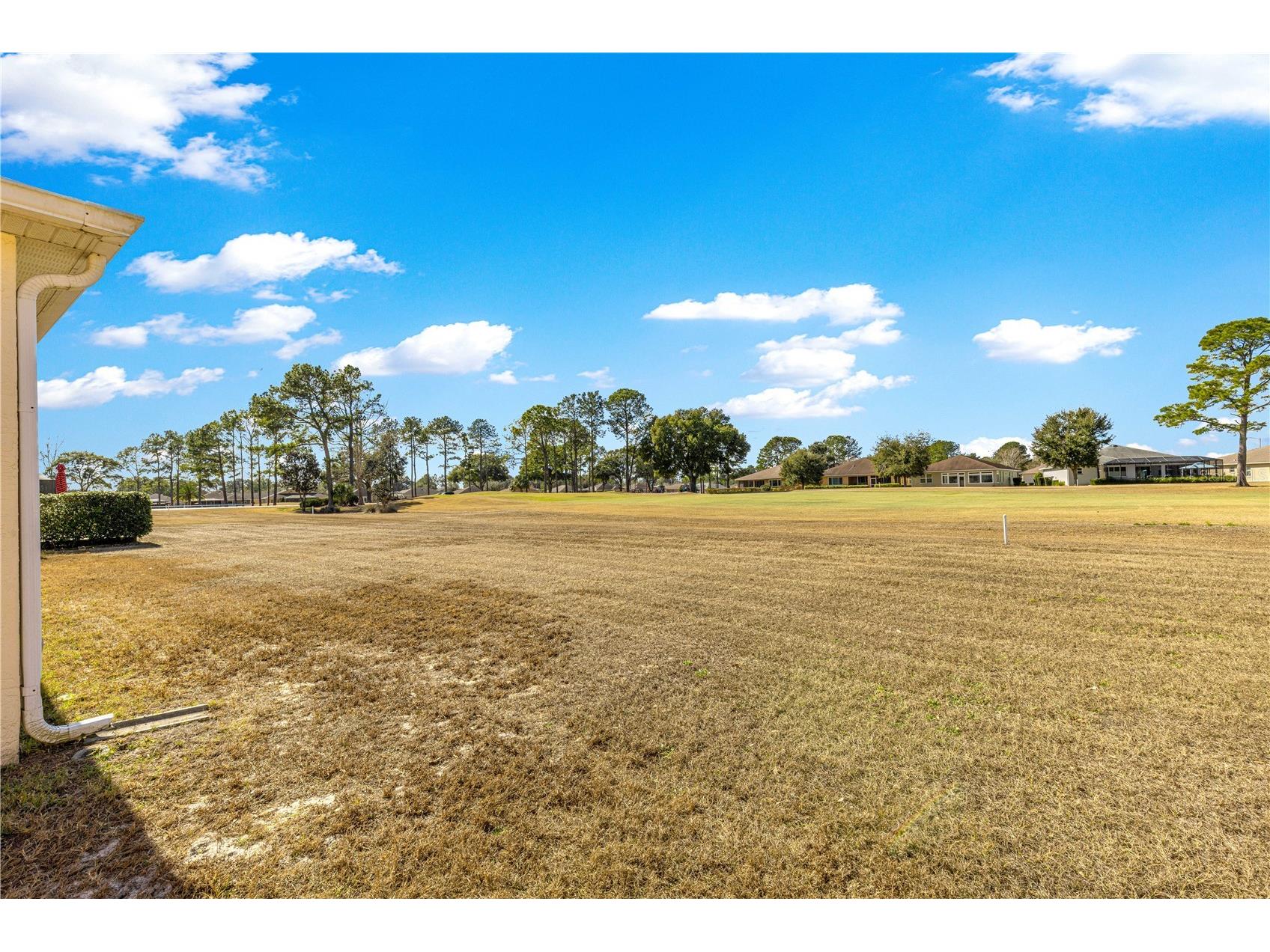 9250 SW 96th Court Road Ocala FL 34481 OM717506 image45