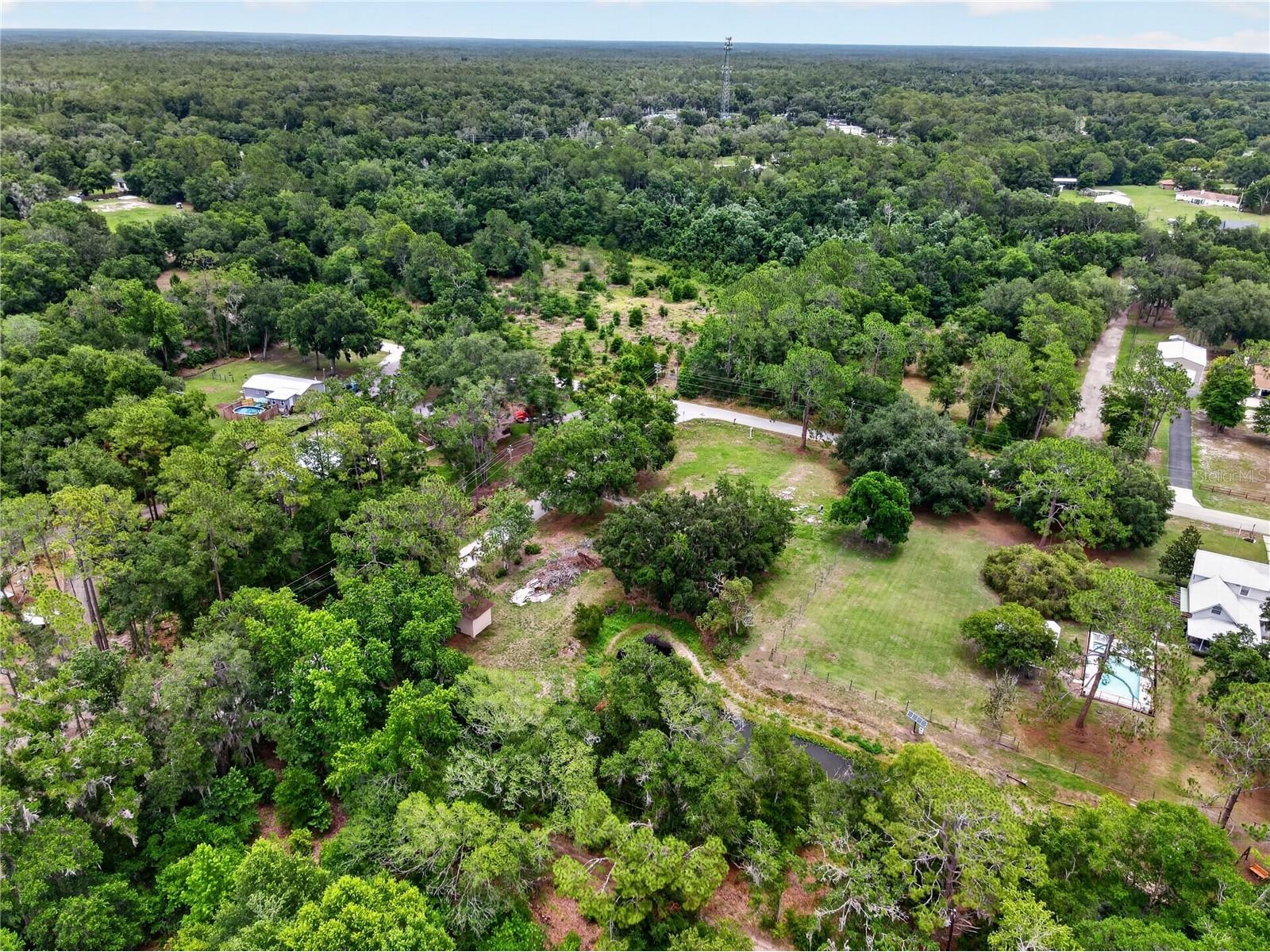 9250 Tom Moore Road Lakeland FL 33810 L4962254 image18