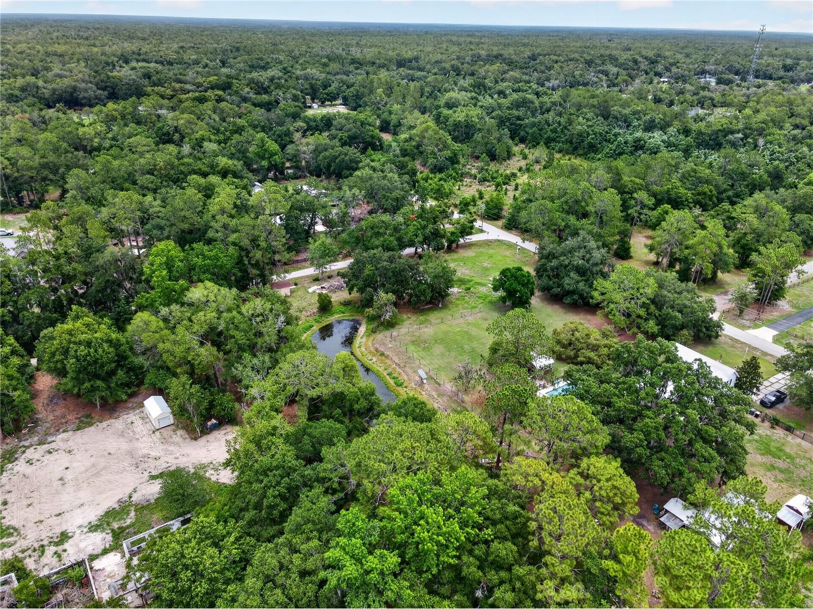 9250 Tom Moore Road Lakeland FL 33810 L4962254 image19