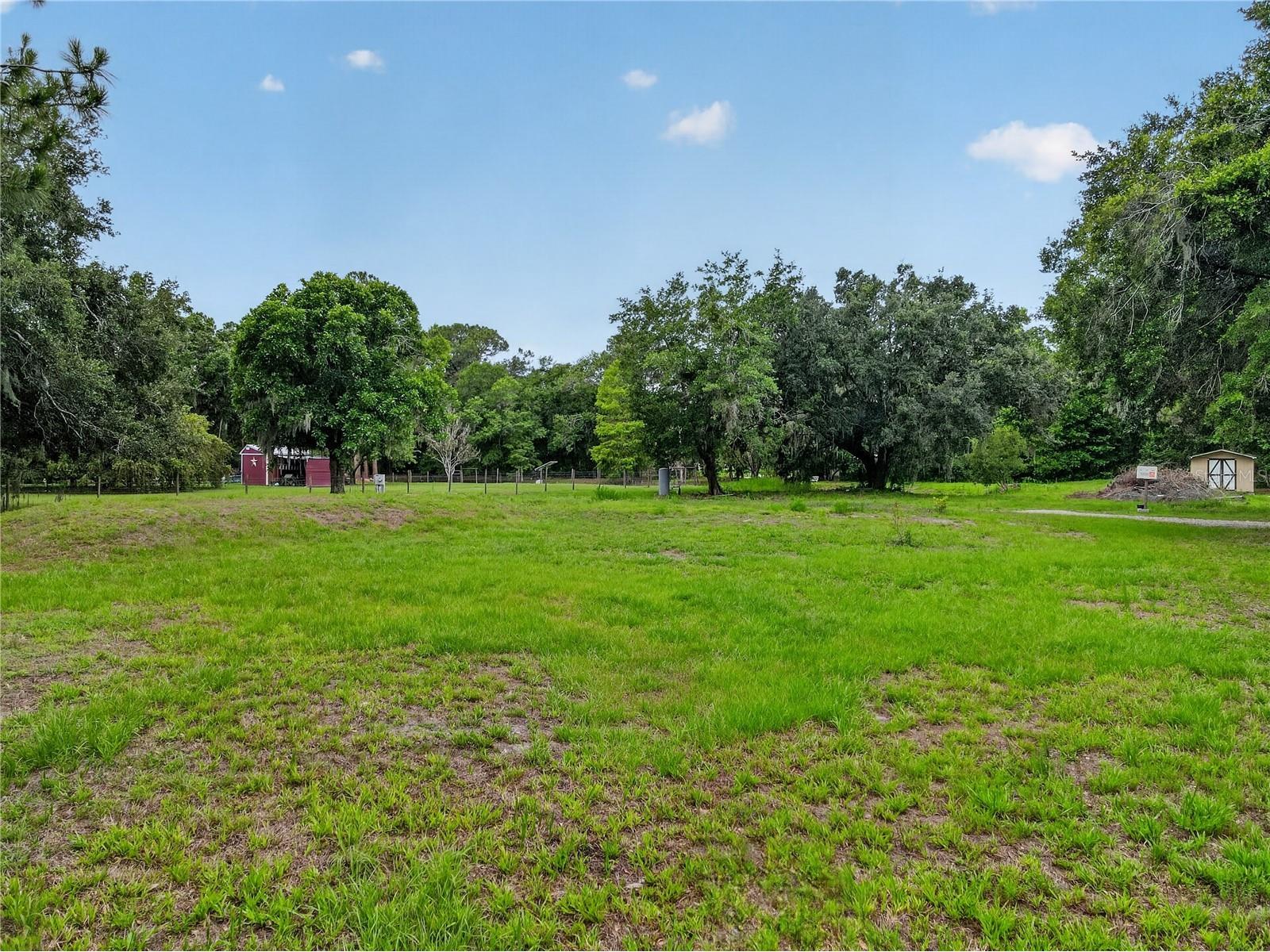 9250 Tom Moore Road Lakeland FL 33810 L4962254 image5