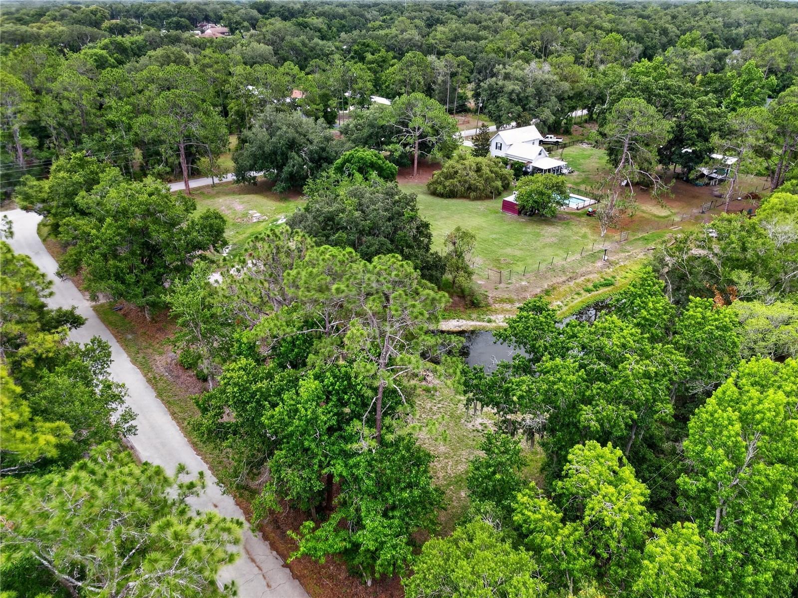 9250 Tom Moore Road Lakeland FL 33810 L4962254 image9
