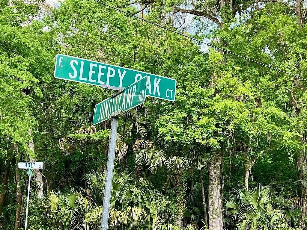 9254 E Sleepy Oak Court Inverness FL 34453 S5109534 image1