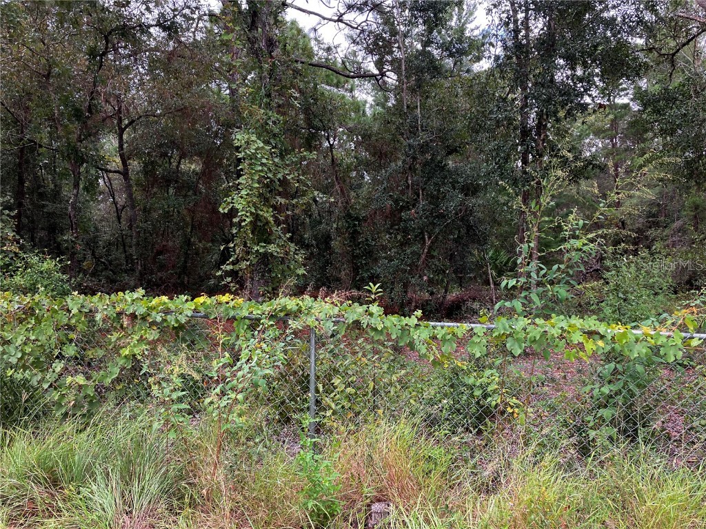 9255 Grouse Way Hudson FL 34669 T3403003 image10