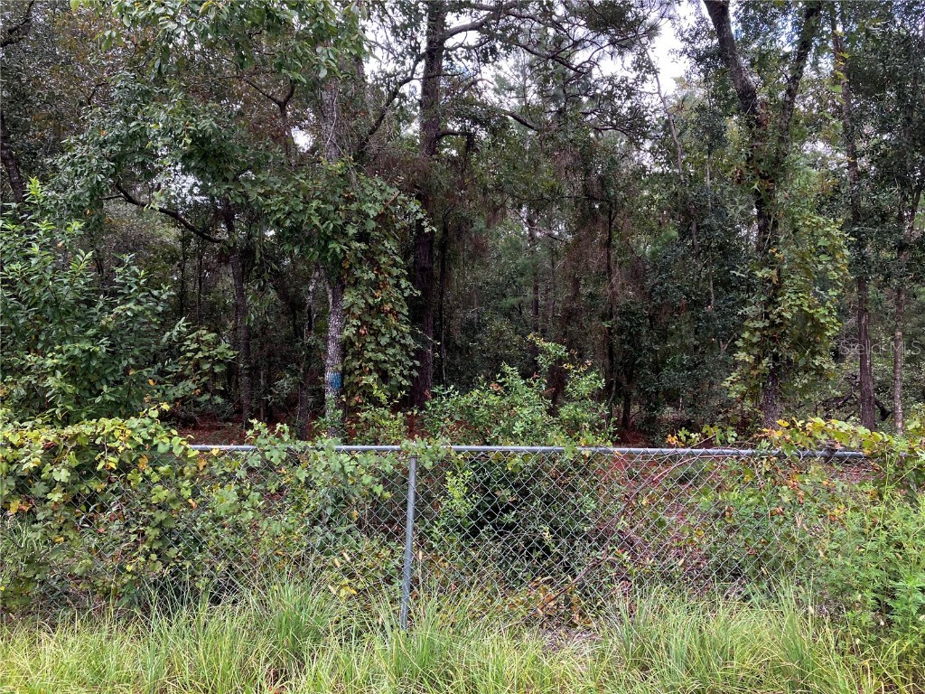 9255 Grouse Way Hudson FL 34669 T3403003 image11