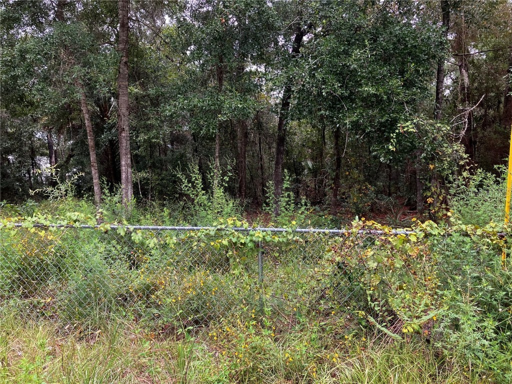 9255 Grouse Way Hudson FL 34669 T3403003 image12