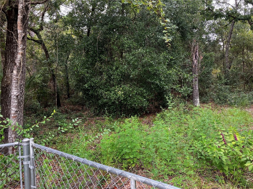 9255 Grouse Way Hudson FL 34669 T3403003 image4