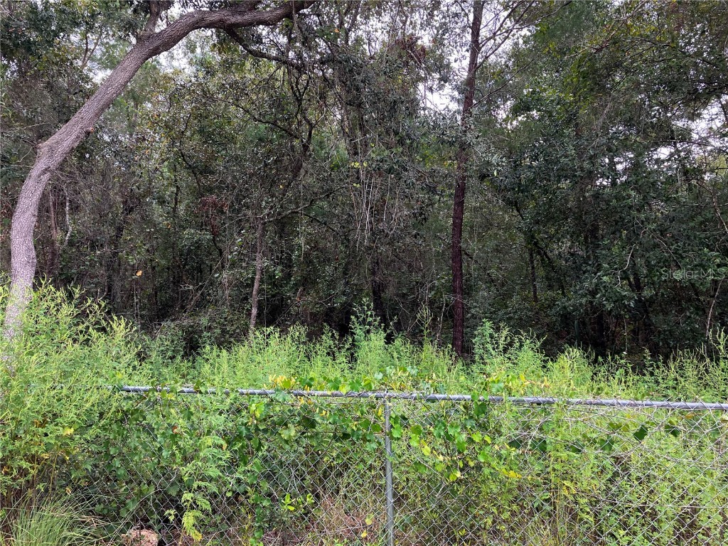 9255 Grouse Way Hudson FL 34669 T3403003 image6