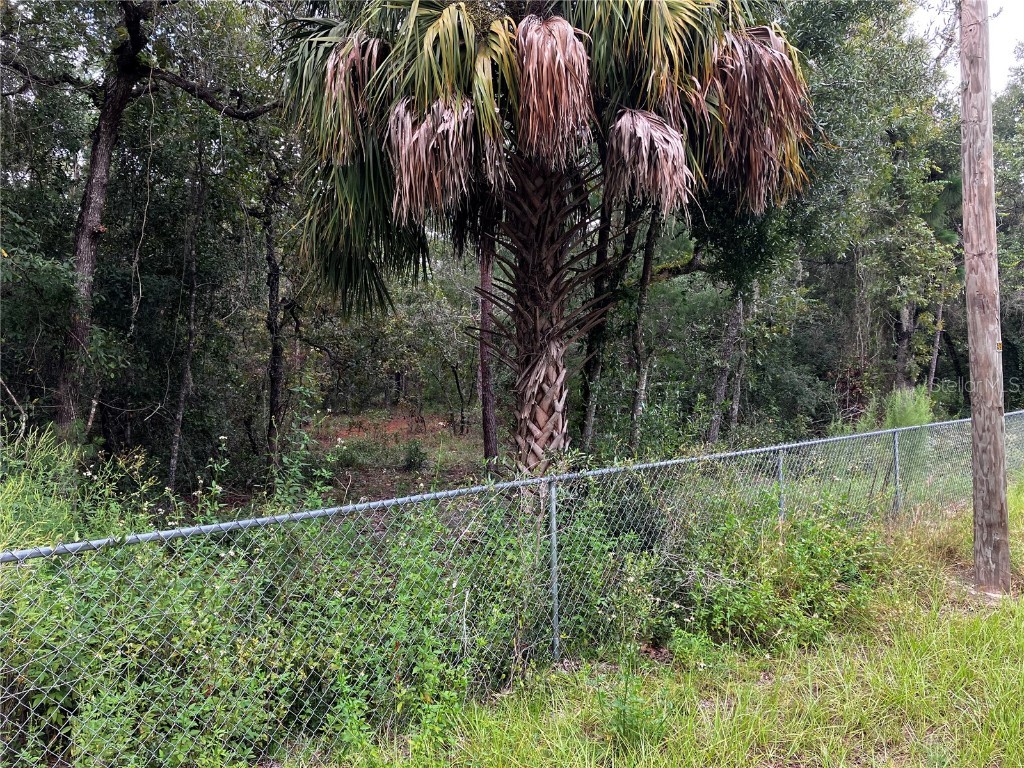 9255 Grouse Way Hudson FL 34669 T3403003 image7