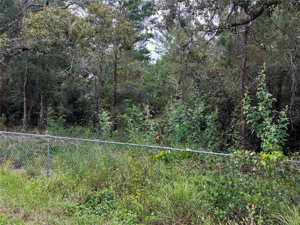 9255 Grouse Way Hudson FL 34669 T3403003 image8