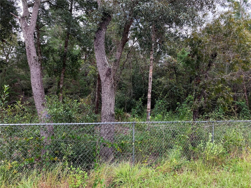 9255 Grouse Way Hudson FL 34669 T3403003 image9