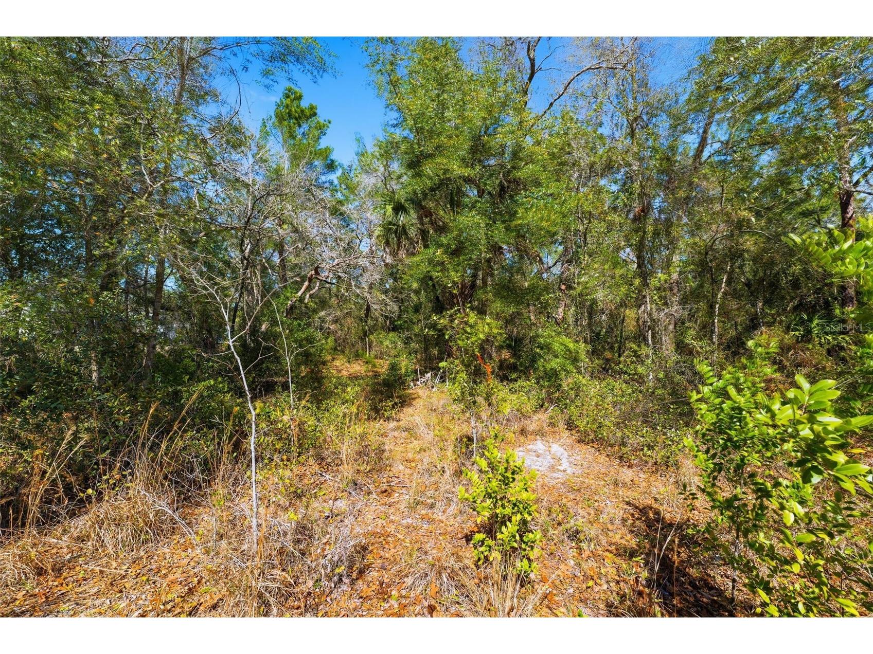 9255 Grouse Way Hudson FL 34669 TB8479459 image4