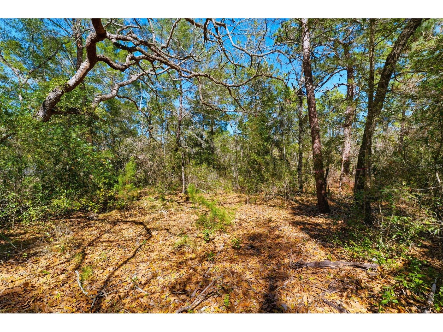 9255 Grouse Way Hudson FL 34669 TB8479459 image5