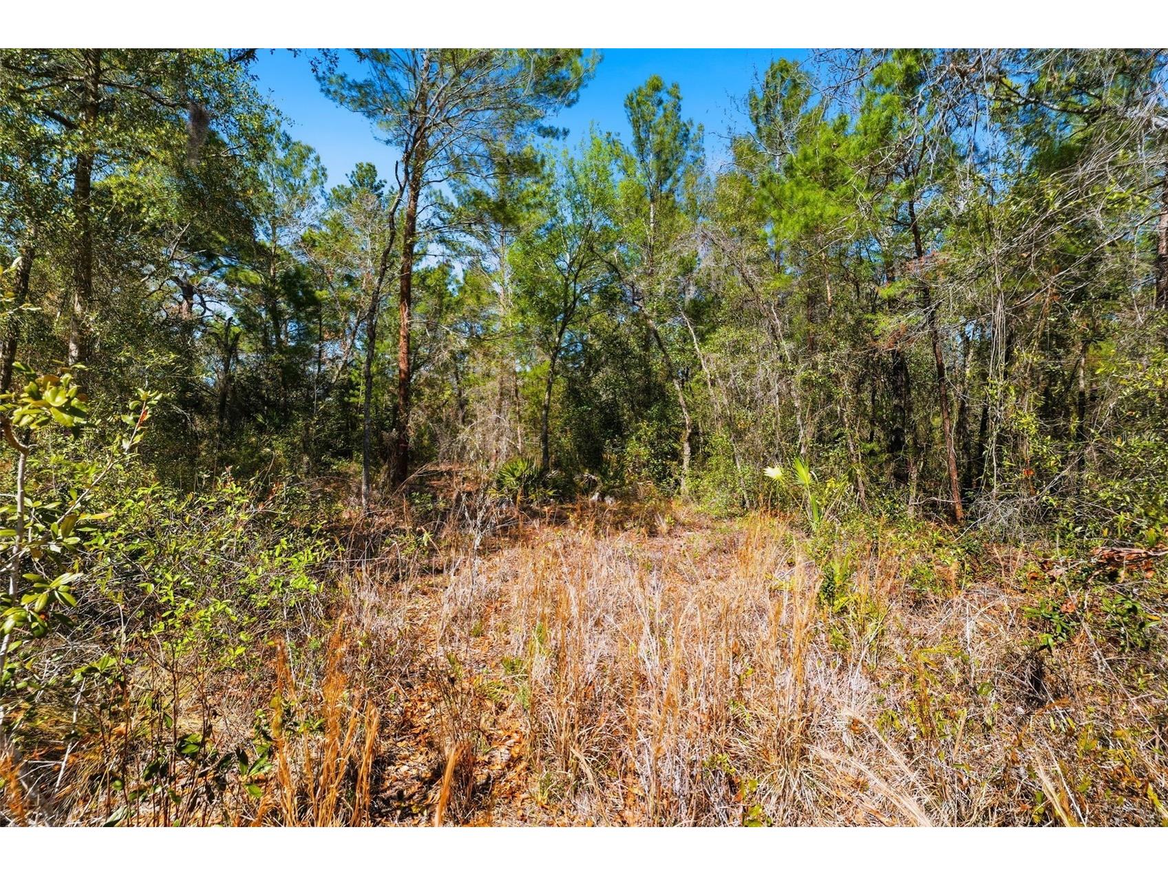 9255 Grouse Way Hudson FL 34669 TB8479459 image7