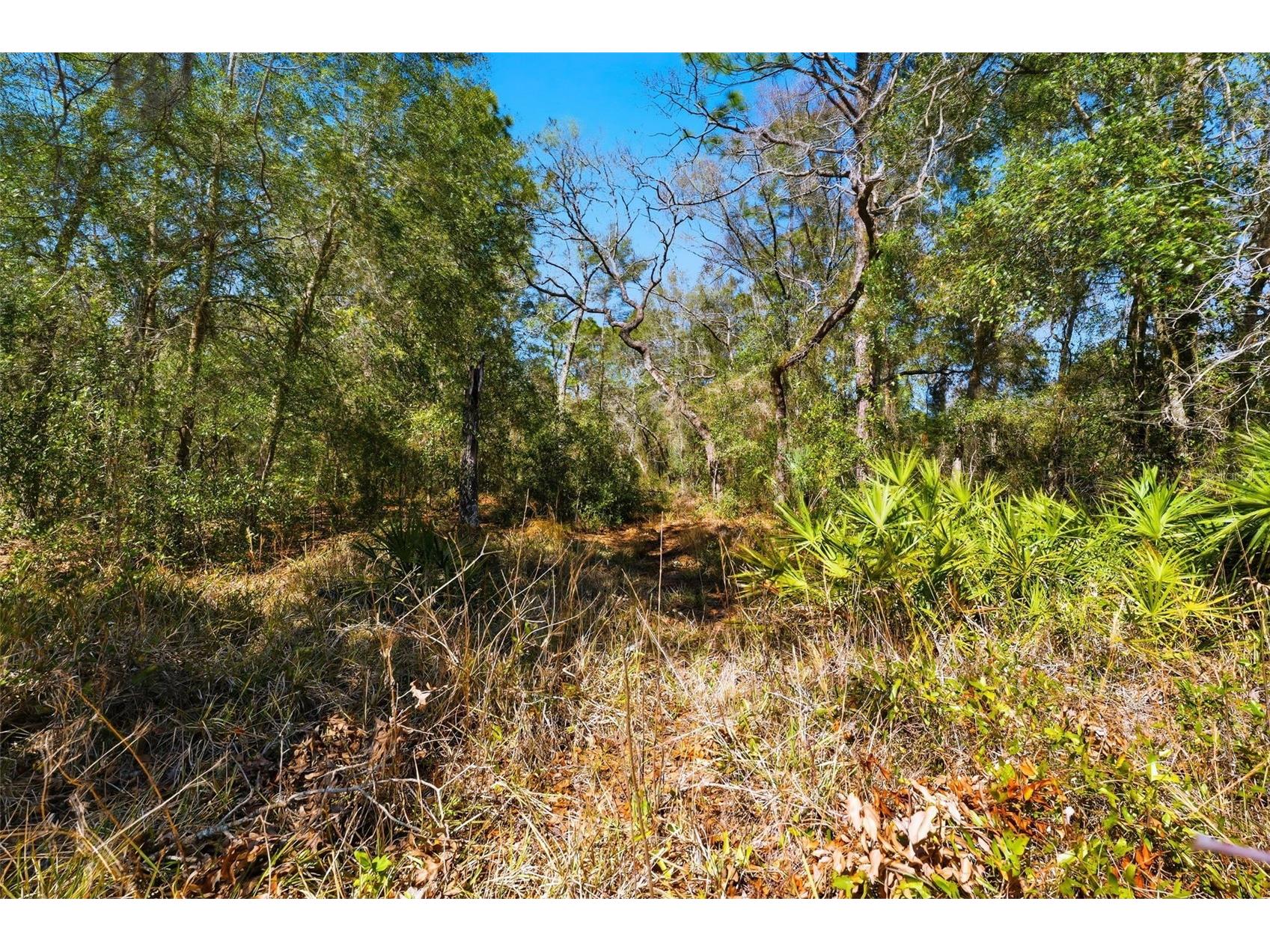 9255 Grouse Way Hudson FL 34669 TB8479459 image8