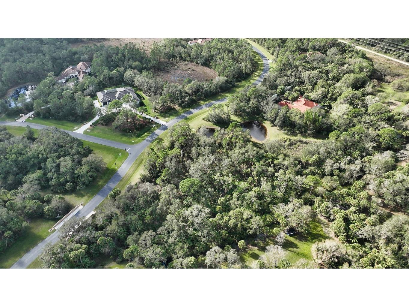 9255 Swaying Branch Road Sarasota FL 34241 - FIRE POND A4555642 image17