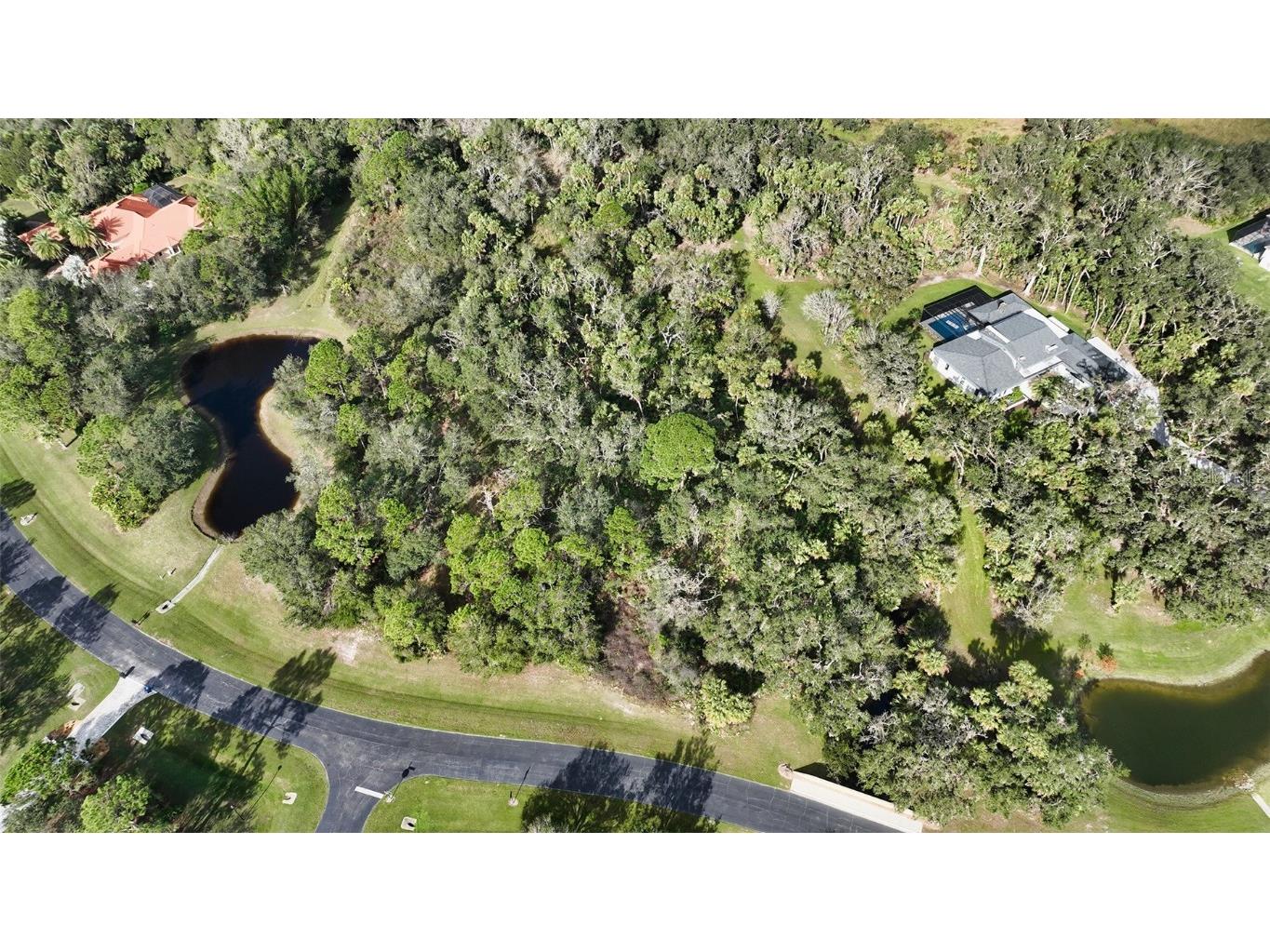 9255 Swaying Branch Road Sarasota FL 34241 - FIRE POND A4555642 image22