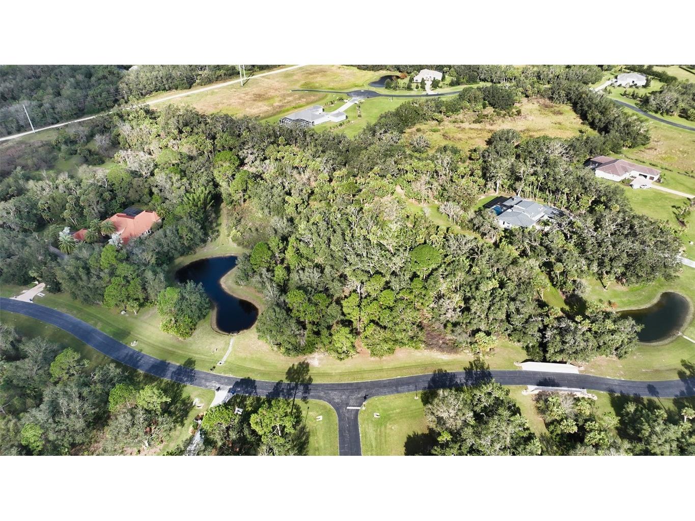 9255 Swaying Branch Road Sarasota FL 34241 - FIRE POND A4555642 image3