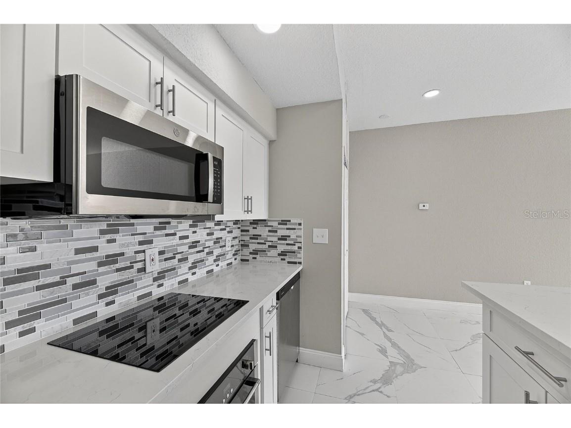 9258 Lake Chase Island Way Tampa FL 33626 TB8449172 image14