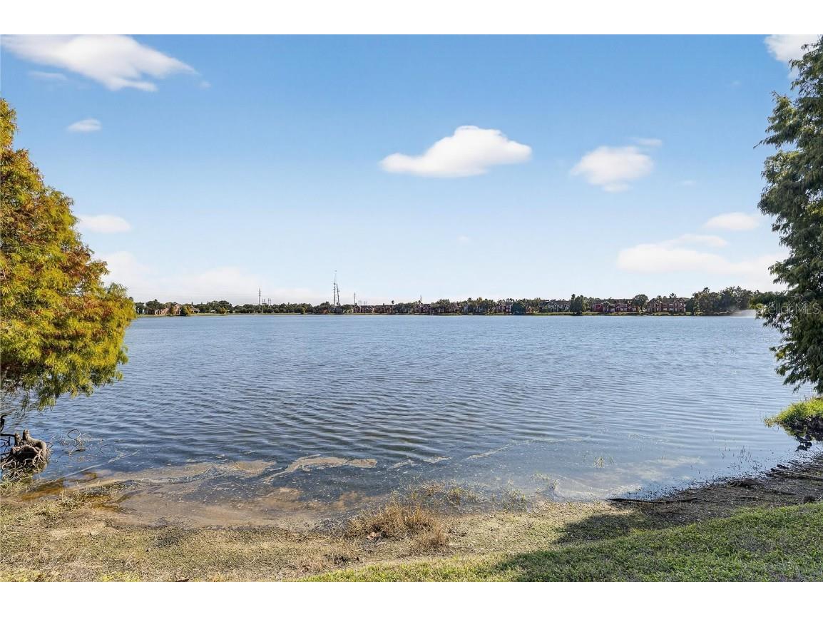 9258 Lake Chase Island Way Tampa FL 33626 TB8449172 image35