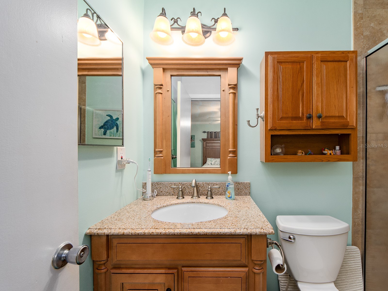 9259 142nd Street Seminole FL 33776 TB8517822 image25
