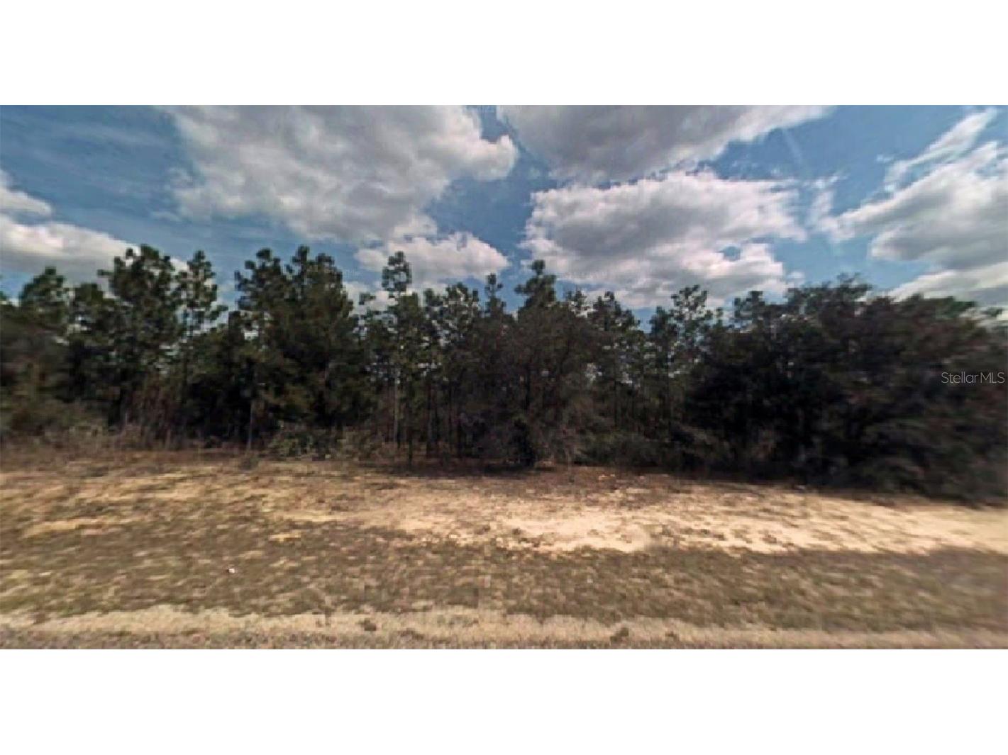 9259 N Satinwood Terrace Citrus Springs FL 34433 O6054118 image1